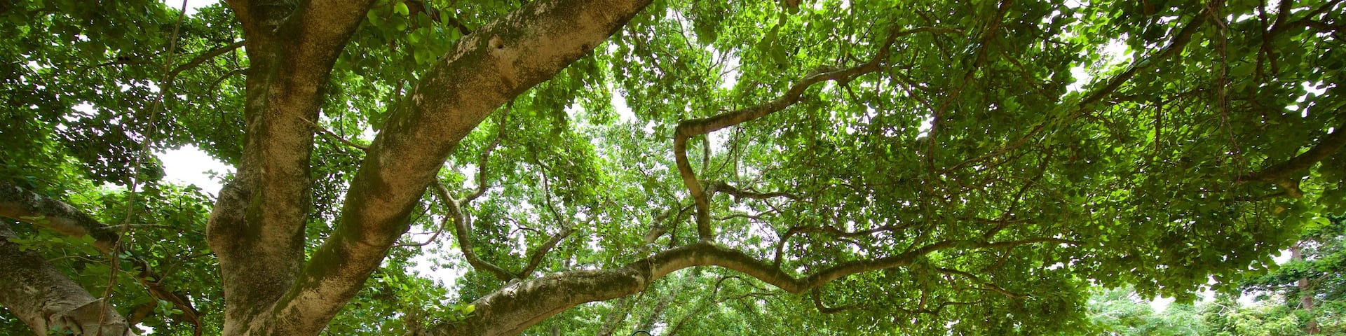 Queens Park