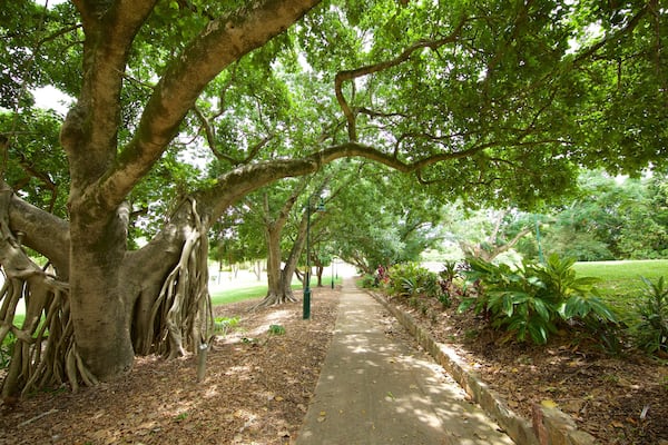 Queens Park
