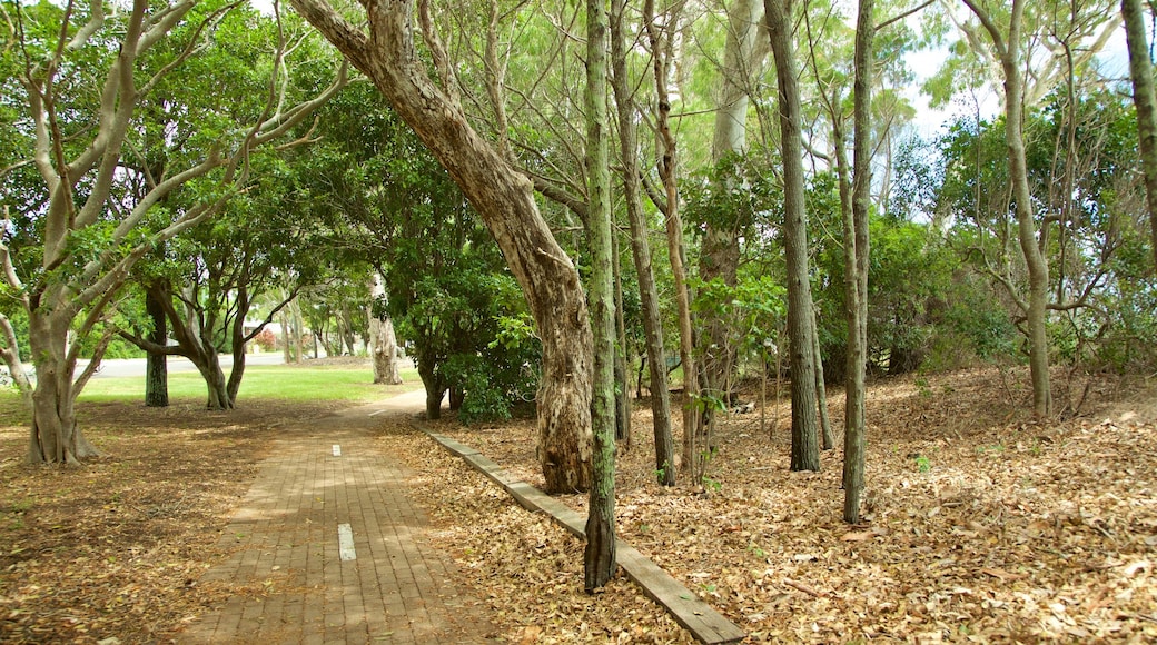 Esplanade showing a garden