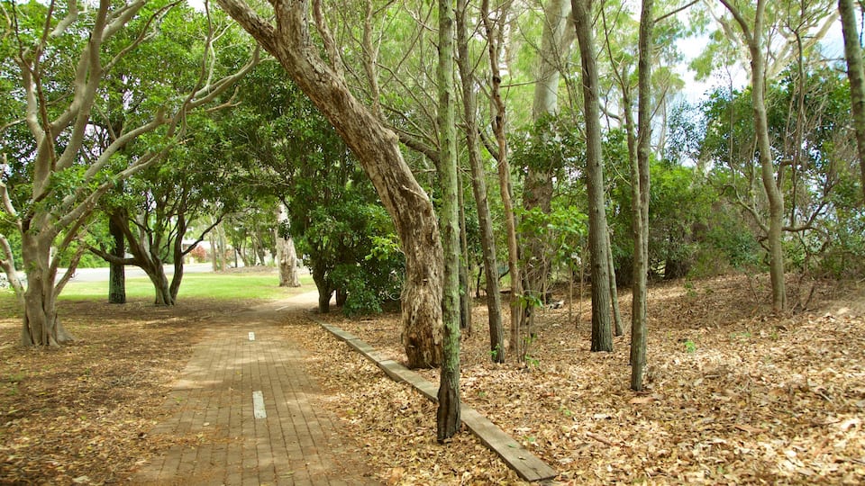 Esplanade qui includes parc
