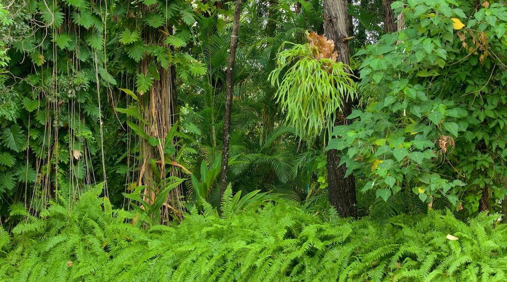 Jardín botánico de la bahía de Hervey