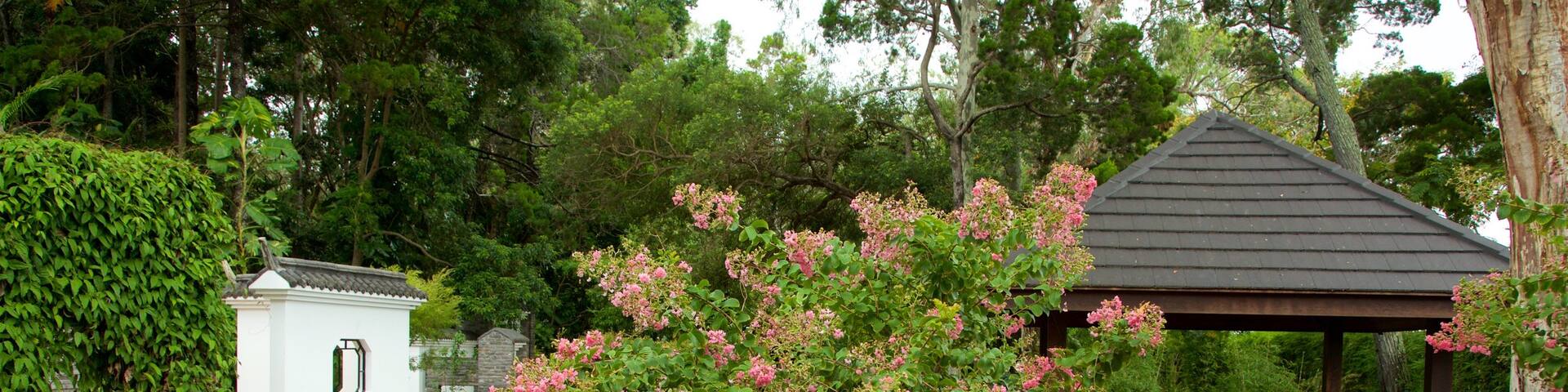 Hervey Bay Botanic Garden