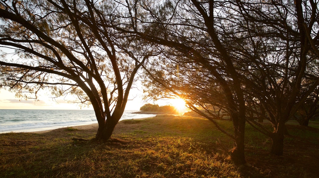 Bargara featuring general coastal views and a sunset