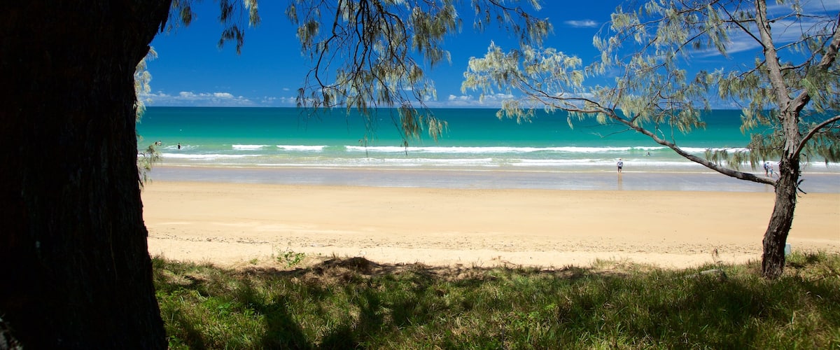 Bargara