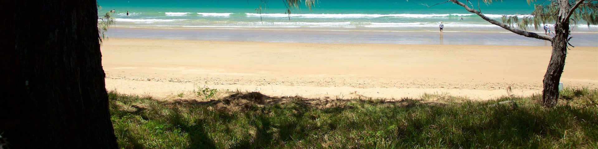 Bargara qui includes plage de sable et vues littorales