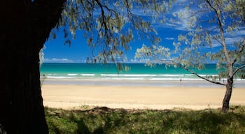 Bargara welches beinhaltet Strand und allgemeine Küstenansicht