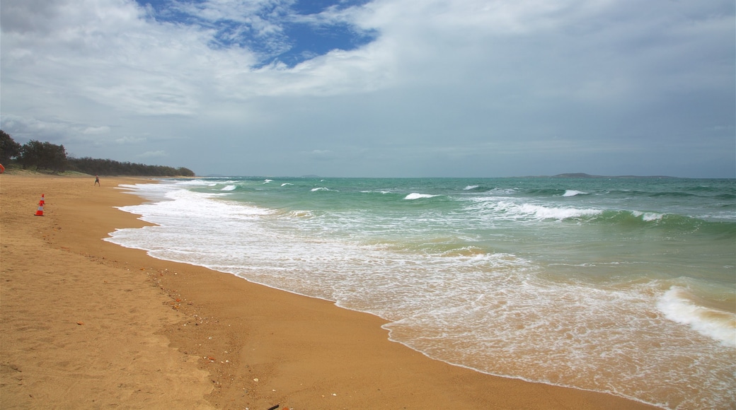 Gladstone which includes general coastal views and a sandy beach