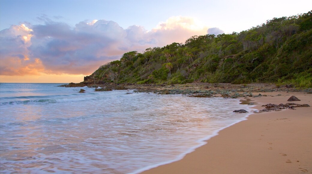 Agnes Water Beach showing a sunset, general coastal views and a beach