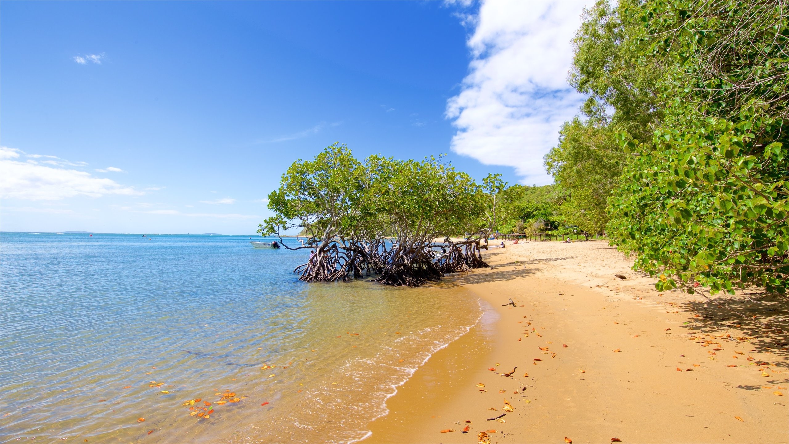 Visit Seventeen Seventy Best of Seventeen Seventy, Queensland Travel