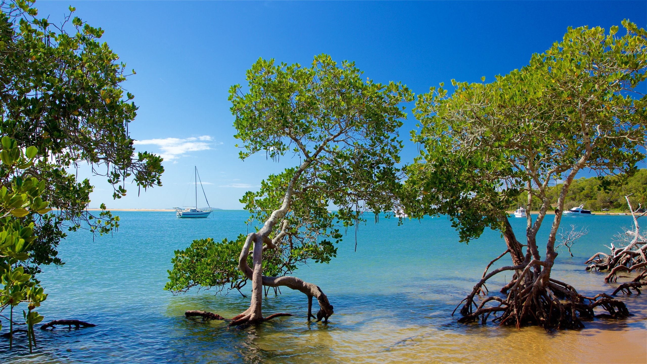 Agnes Water holiday homes, Queensland Houses & more Vrbo