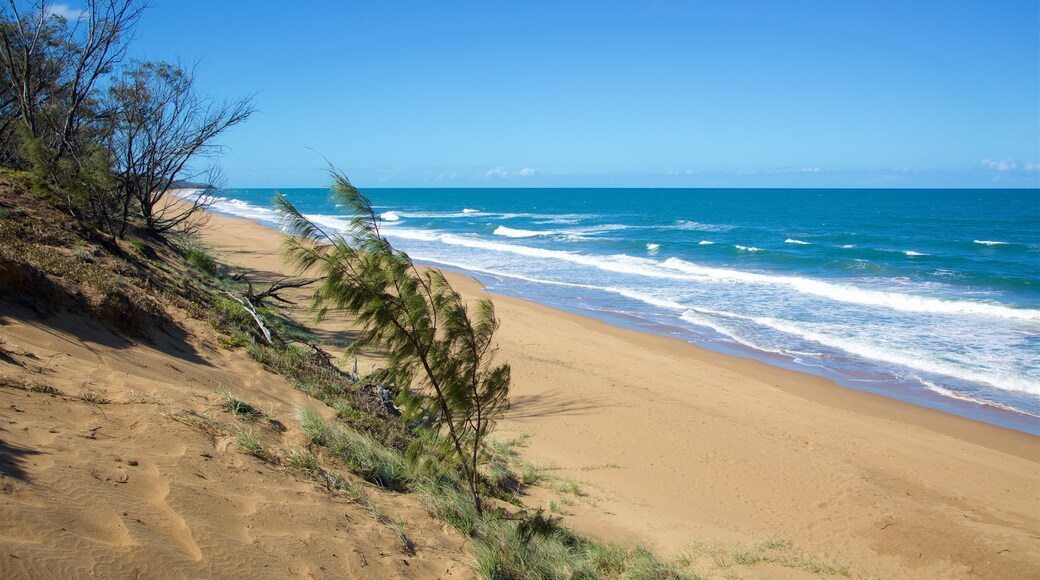 Agnes Water Beach