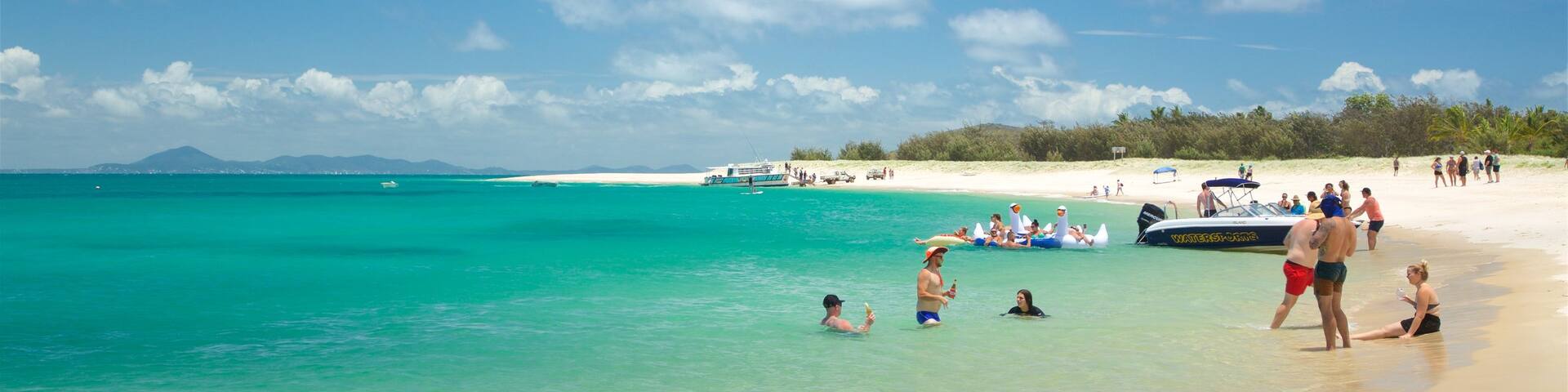 The Keppels showing a beach, general coastal views and tropical scenes