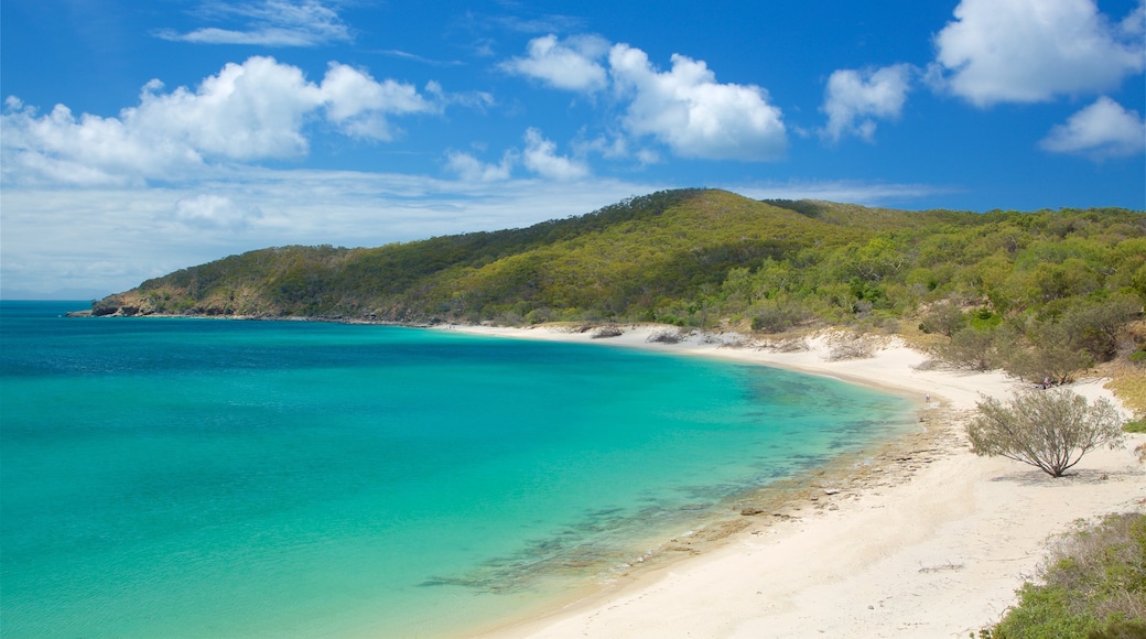 Great Keppel Island