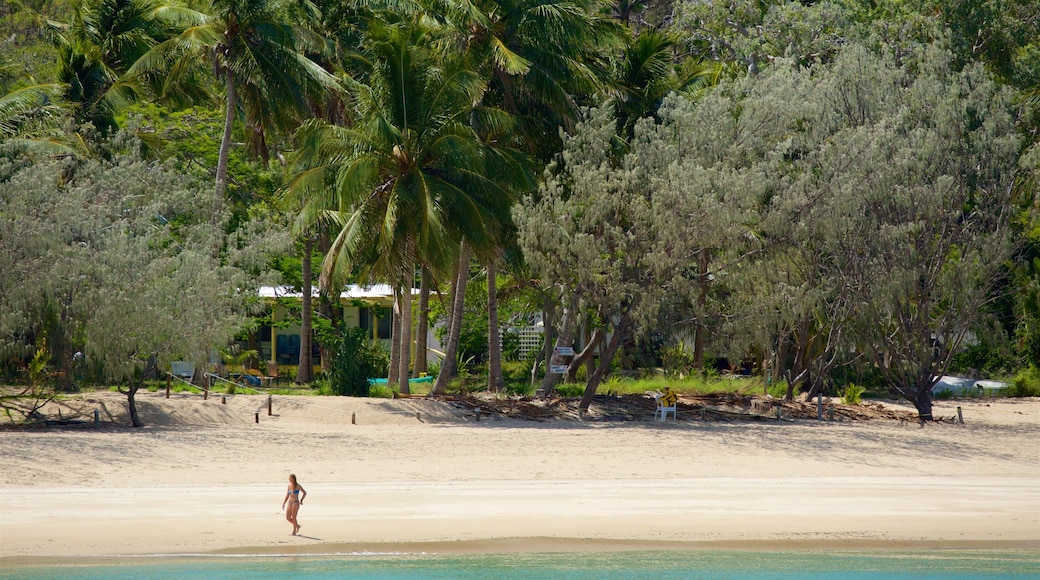 Playa de Great Keppel que incluye una playa de arena y escenas tropicales