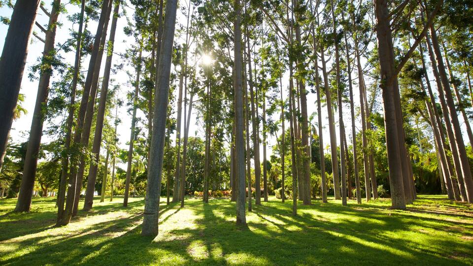 Rockhampton which includes a park