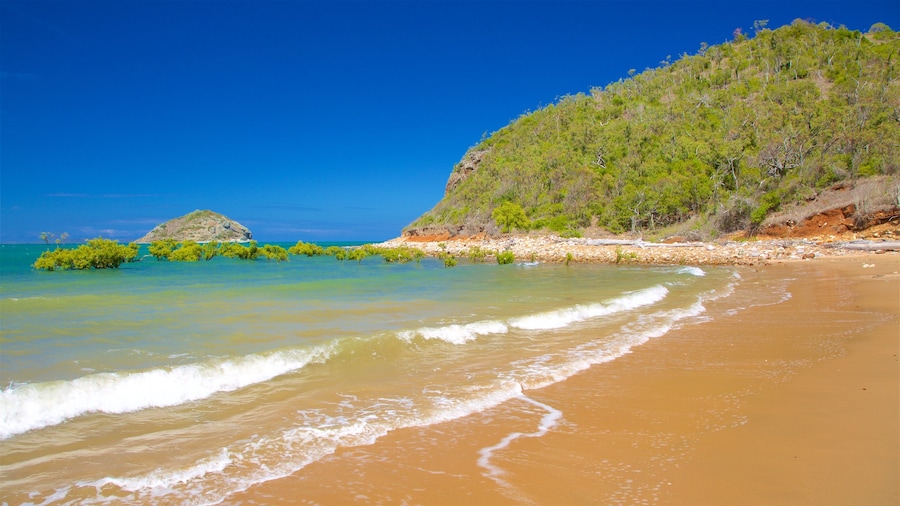 Yeppoon bevat algemene kustgezichten en een strand