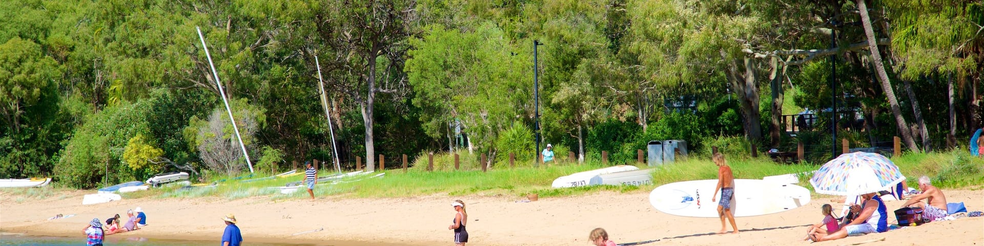 Seventeen Seventy mit einem Wälder, Sandstrand und allgemeine Küstenansicht