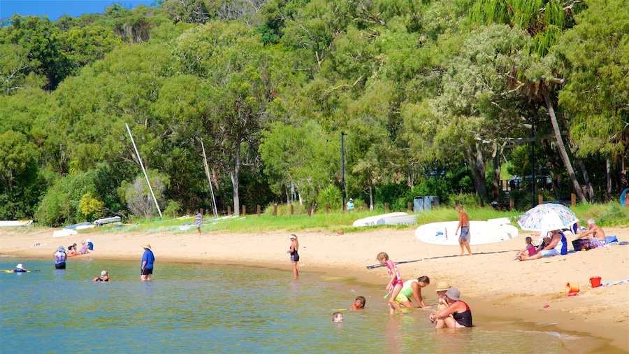 Seventeen Seventy toont algemene kustgezichten, een strand en bos