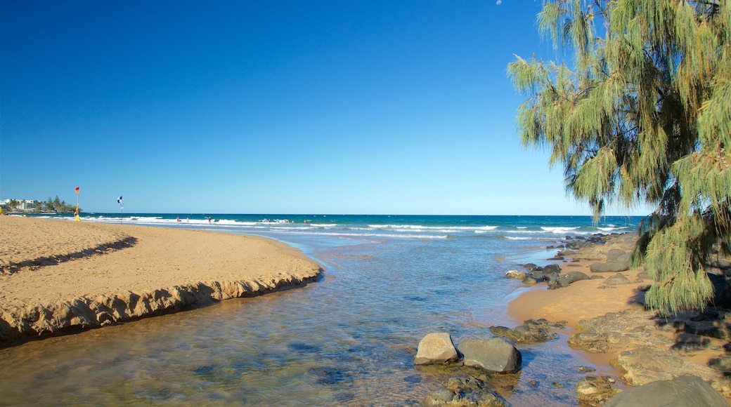 Kelly\'s Beach featuring a sandy beach and a river or creek