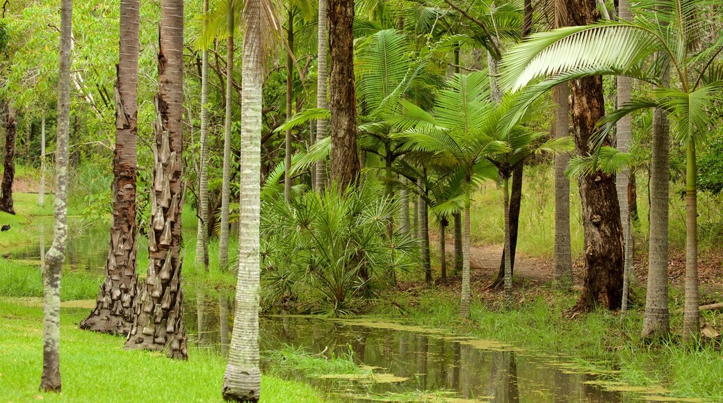 Hervey Bay featuring a river or creek and a park