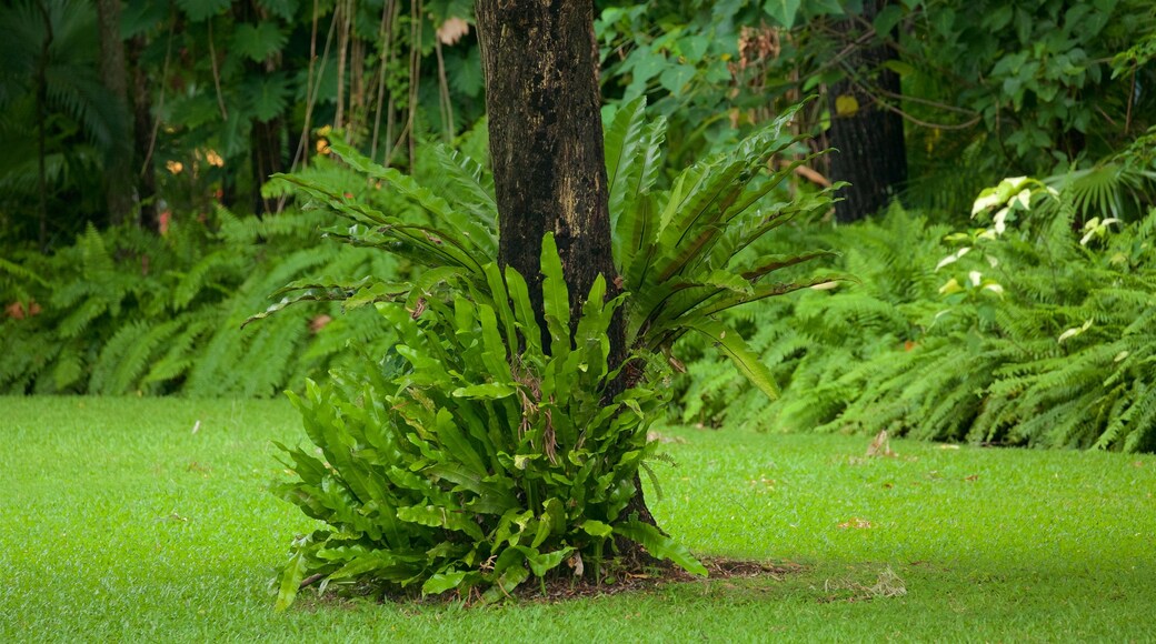 Hervey Bay featuring a park