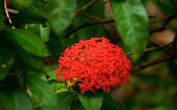 Visit Hervey Bay Botanic Garden In Urangan Expedia Visit Hervey Bay Botanic Garden In Urangan Expedia