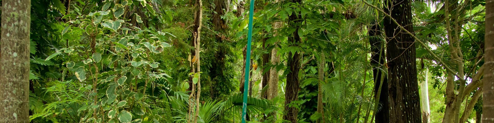 Hervey Bay Botanic Garden