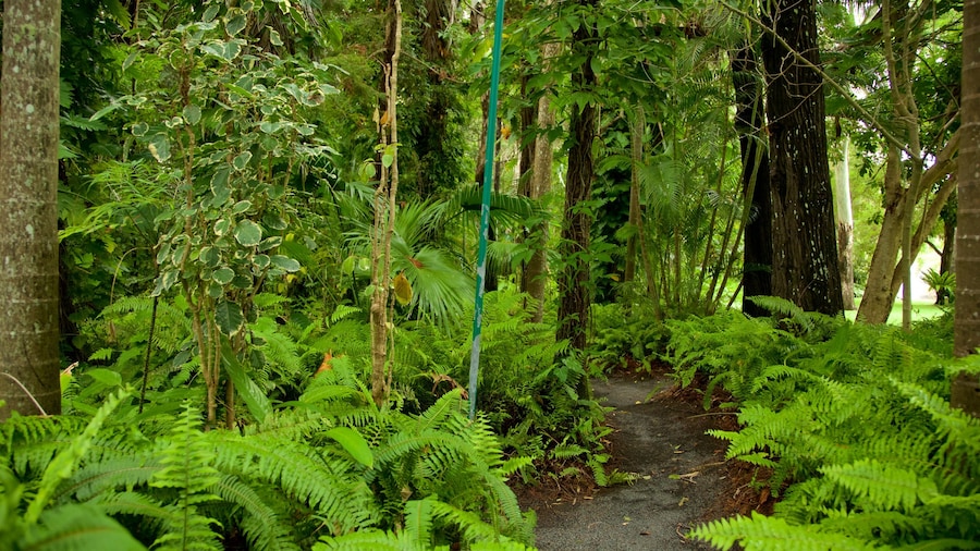 Hervey Bay Botanic Garden