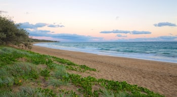 Mon Repos showing a sunset, general coastal views and a sandy beach