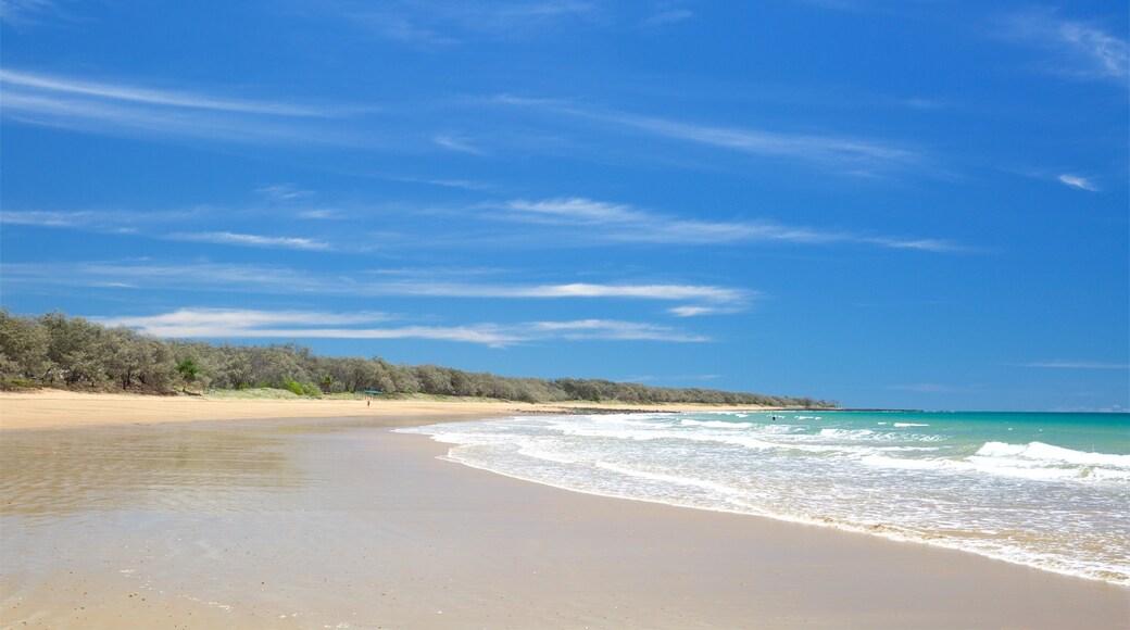 Bargara 其中包括 海灘 和 綜覽海岸風景