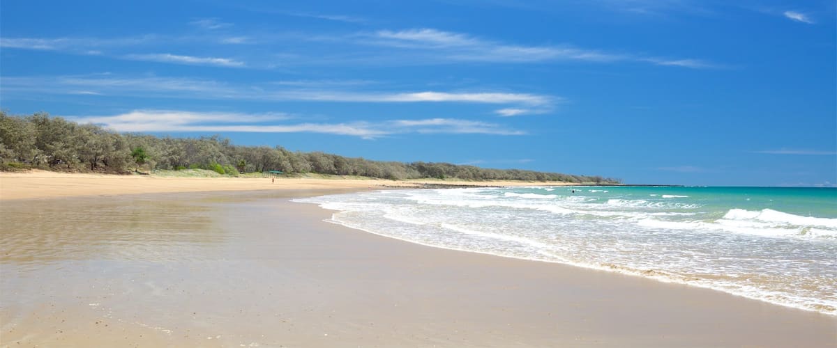 Bargara