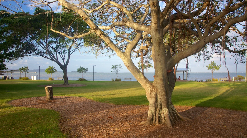 Gladstone showing a park and a sunset