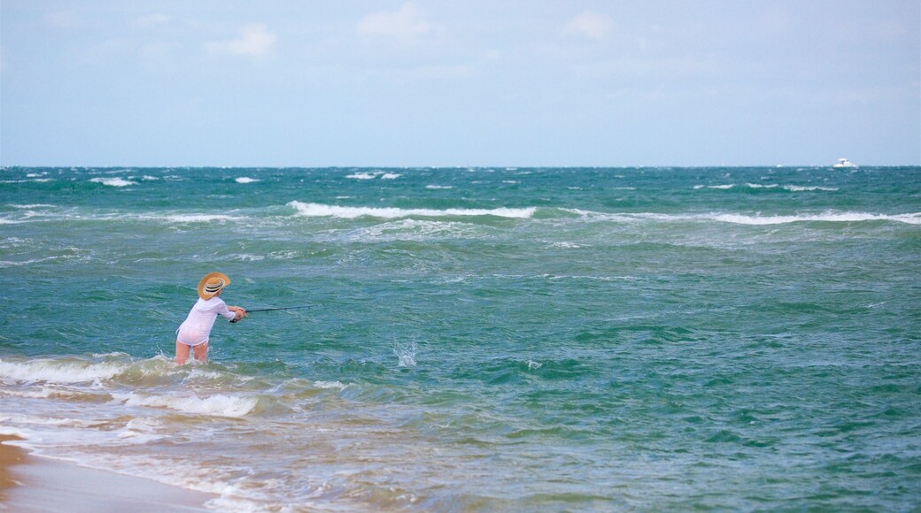 Gladstone showing waves, general coastal views and fishing