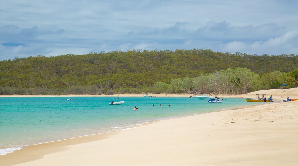 Great Keppel Island qui includes baignade, scènes tropicales et plage de sable