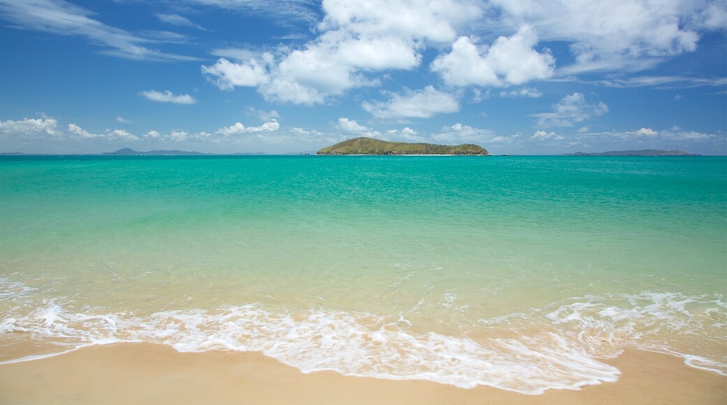 Isla Great Keppel