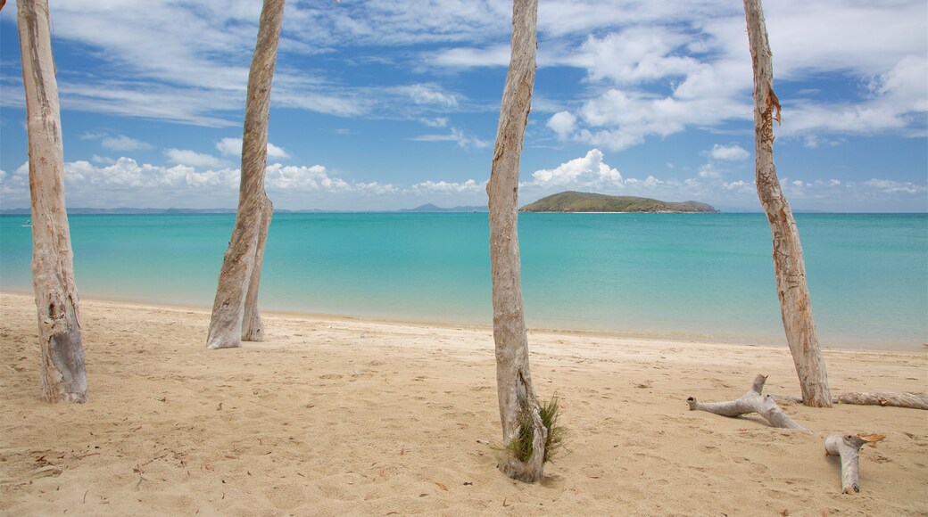 Great Keppel Island mettant en vedette scènes tropicales, vues littorales et plage de sable