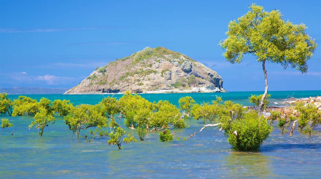 Rosslyn Bay which includes island views and general coastal views