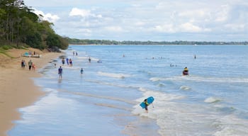 Urangan caracterizando paisagens litorâneas, natação e uma praia