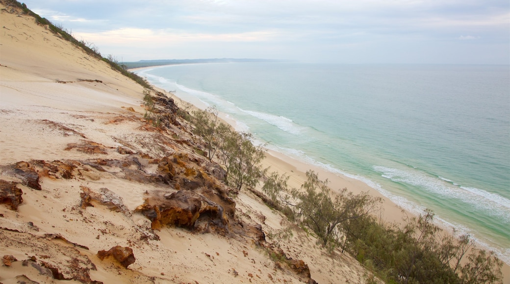 Sunshine Coast mit einem Sandstrand und allgemeine Küstenansicht