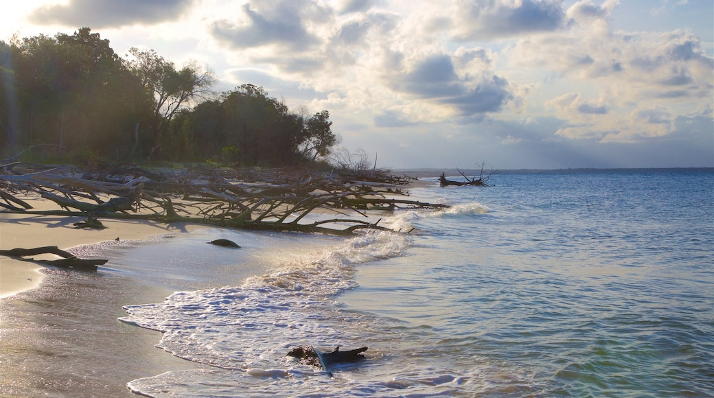 Rainbow Beach montrant plage, coucher de soleil et vues littorales