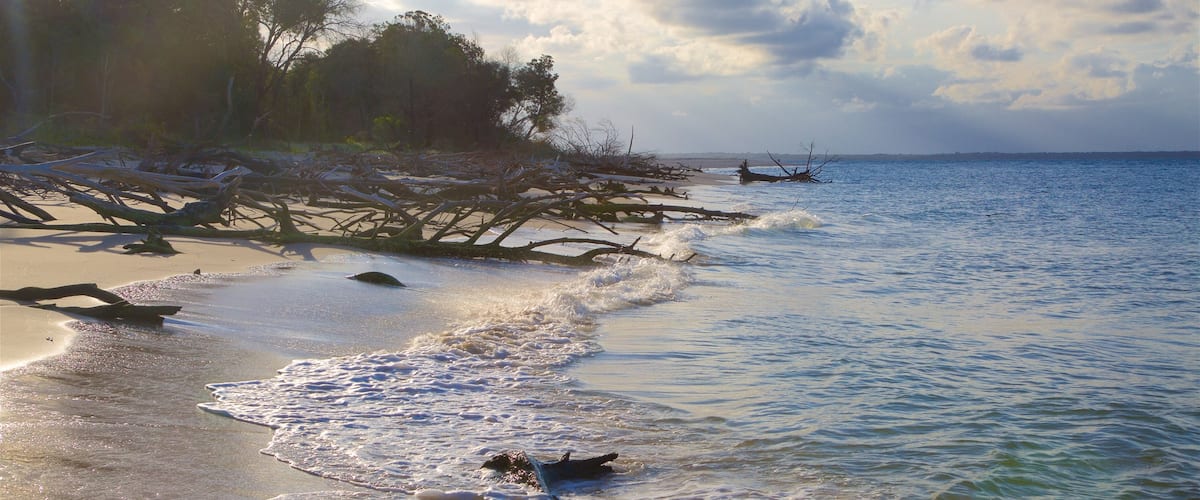 Inskip Point Tours - Book Now | Expedia