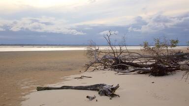 Rainbow Beach caratteristiche di vista della costa e spiaggia