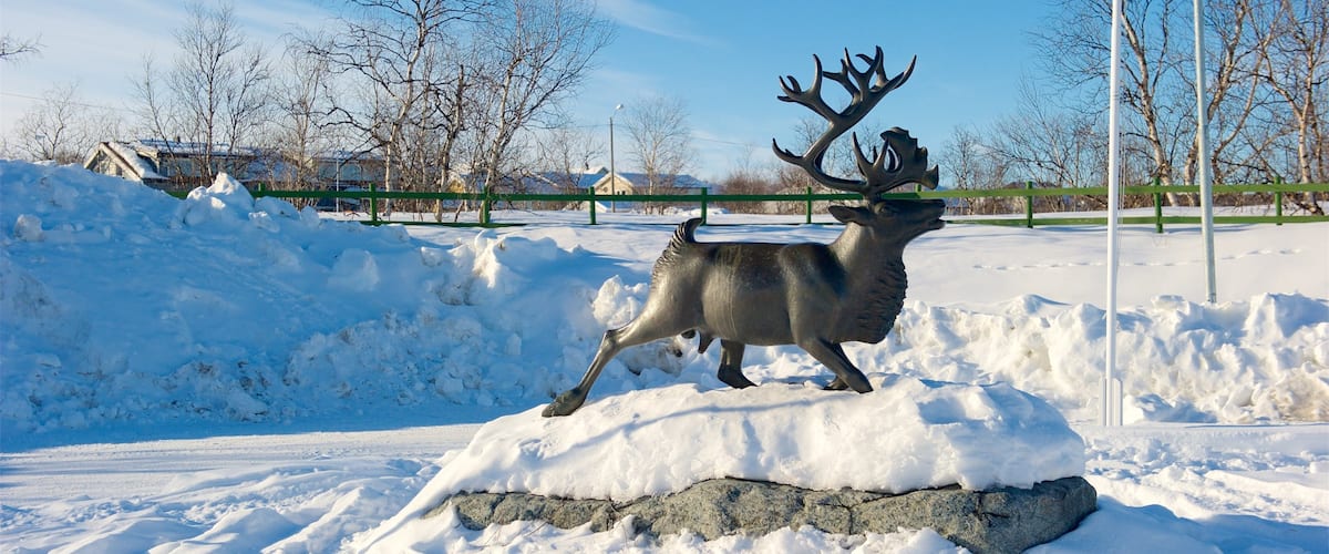 Kautokeino montrant statue ou sculpture et neige