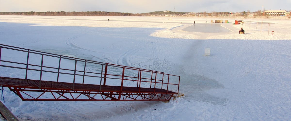 Northern Sweden showing snow and landscape views