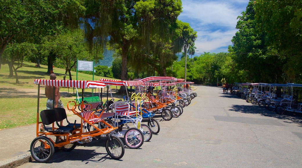 Quinta da Boa Vista que inclui um jardim