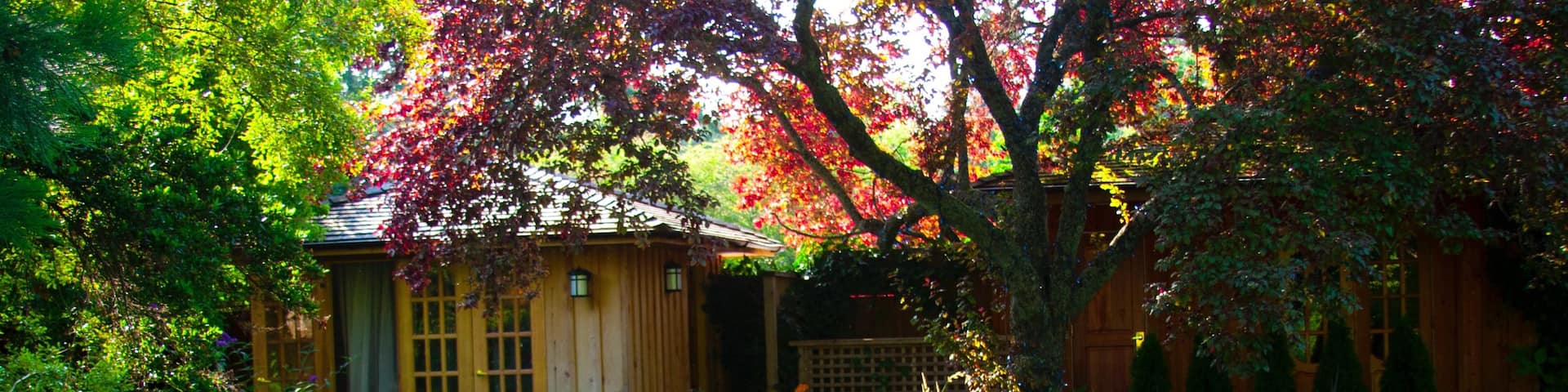 Galiano which includes a day spa and a garden