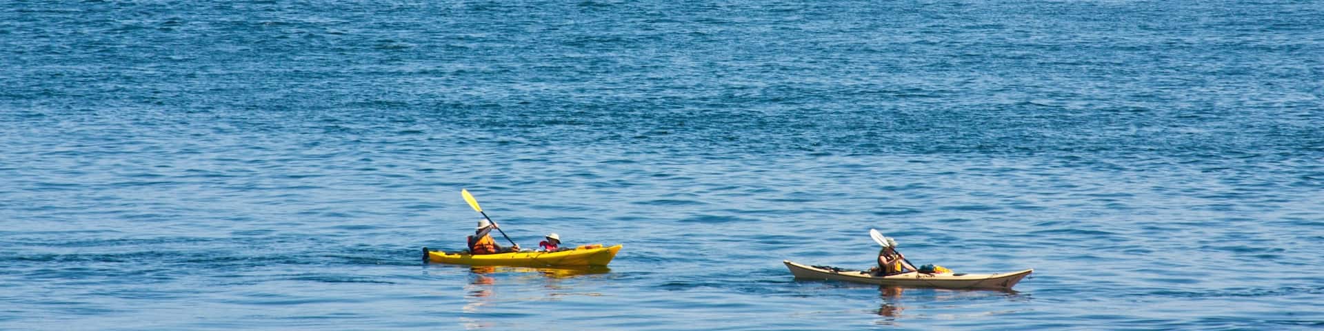 ペンダー島 どの含み カヤックあるいはカヌー, 湾岸あるいはハーバー と 島の眺め