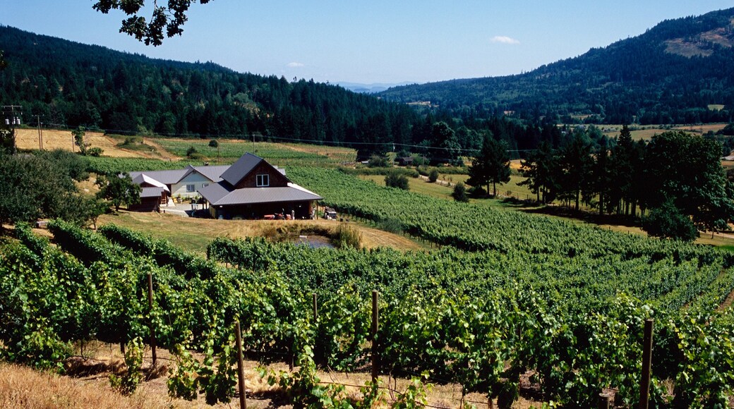 Visit Salt Spring Island Best of Salt Spring Island Tourism Expedia Travel Guide Visit Salt Spring Island Best of Salt Spring Island Tourism Expedia Travel Guide