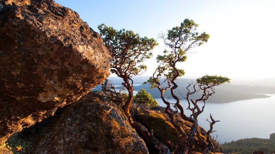 Salt Spring Island featuring island views and a bay or harbour
