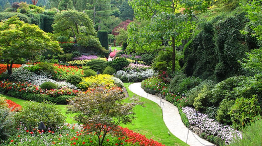 ブッチャート ガーデン ツアーとアクティビティ